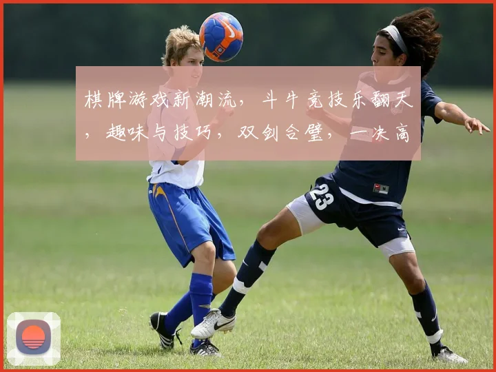 棋牌游戏新潮流，斗牛竞技乐翻天，趣味与技巧，双剑合璧，一决高下