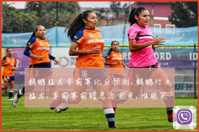 鹈鹕猛龙季前赛比分预测,鹈鹕对决猛龙,季前赛前瞻悬念重重,谁能笑到最后