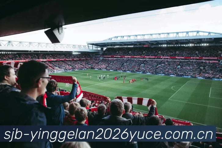 英格兰世界杯2026预测全站App